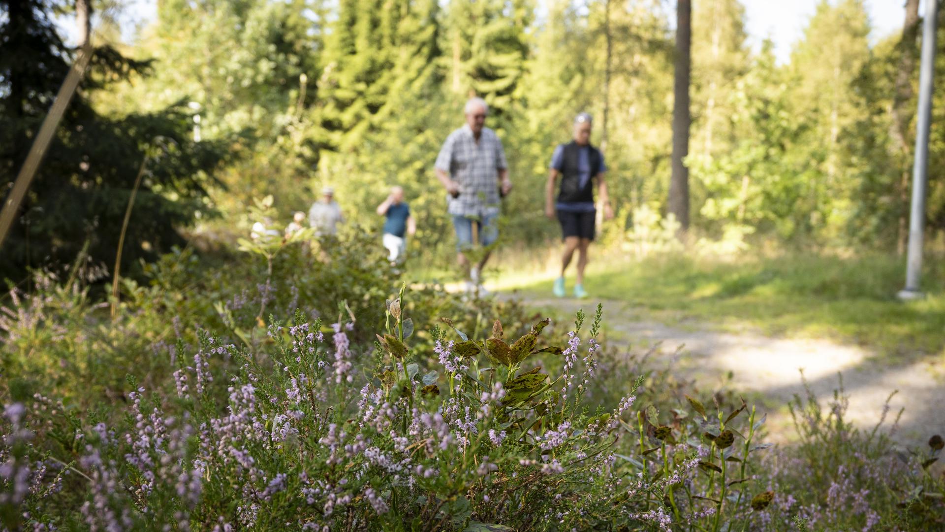 promenad med hälsocenter