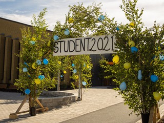 Björklöv och ballonger med studentskylt.