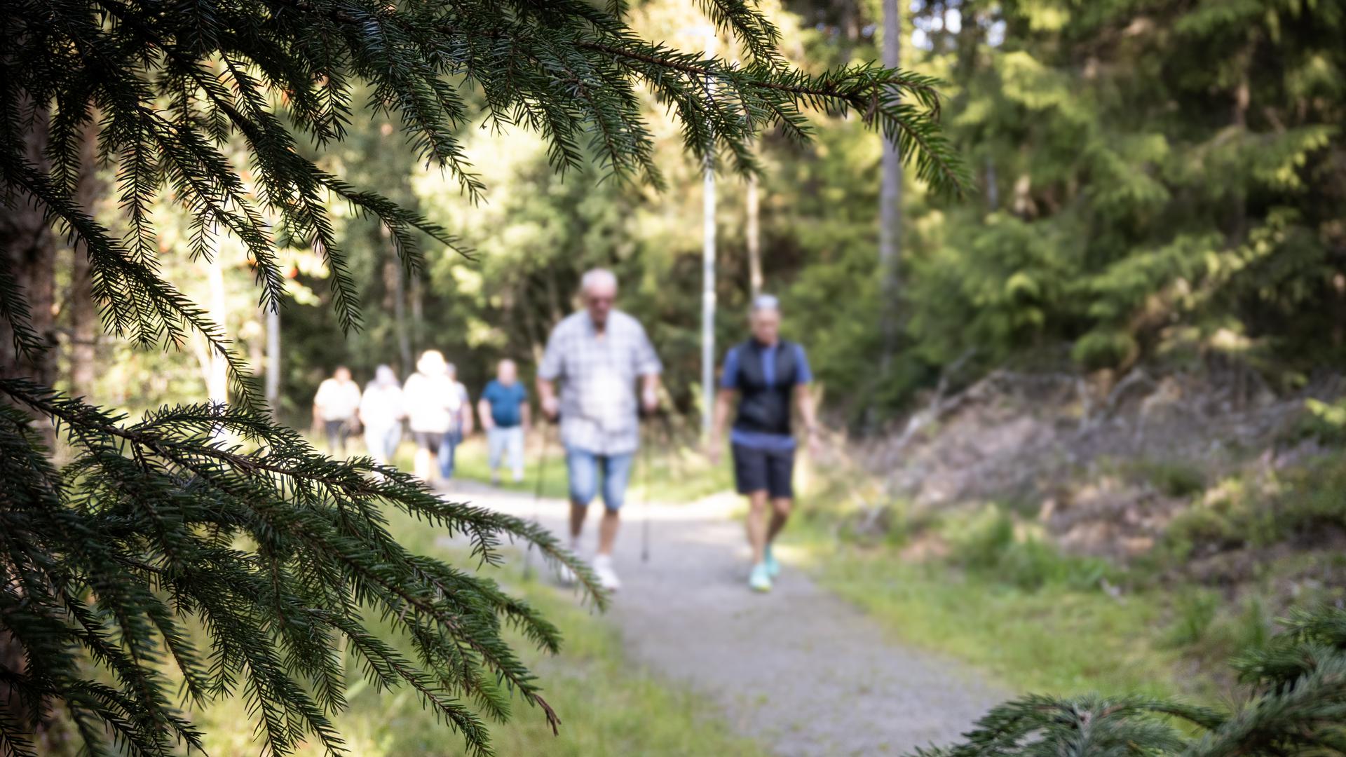 hälsopromenad med hälsocenter