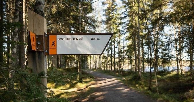 Vägvisare vid led, skog, sjö i bakgrunden. 