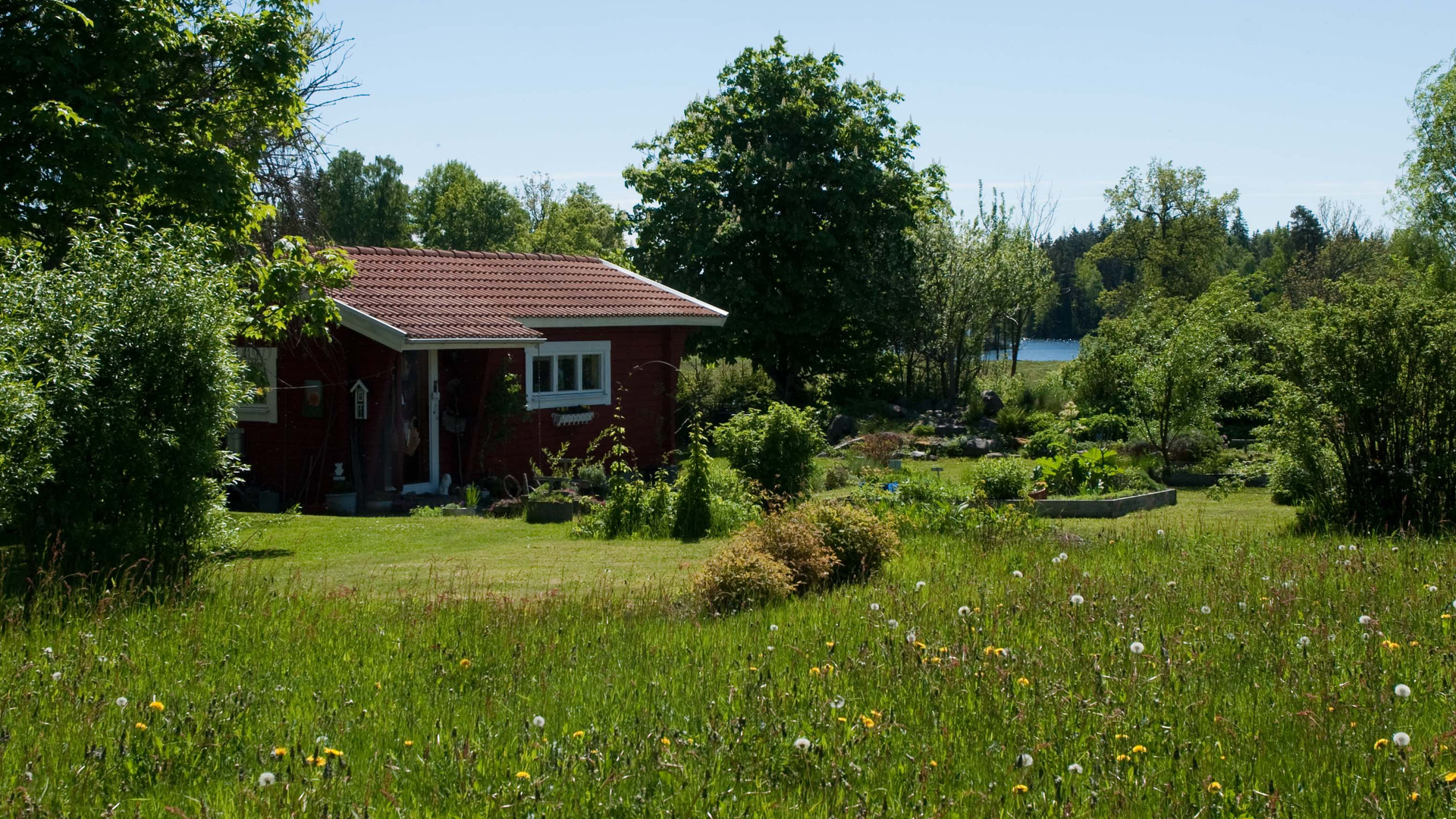 Ett rött hus på en grön äng.