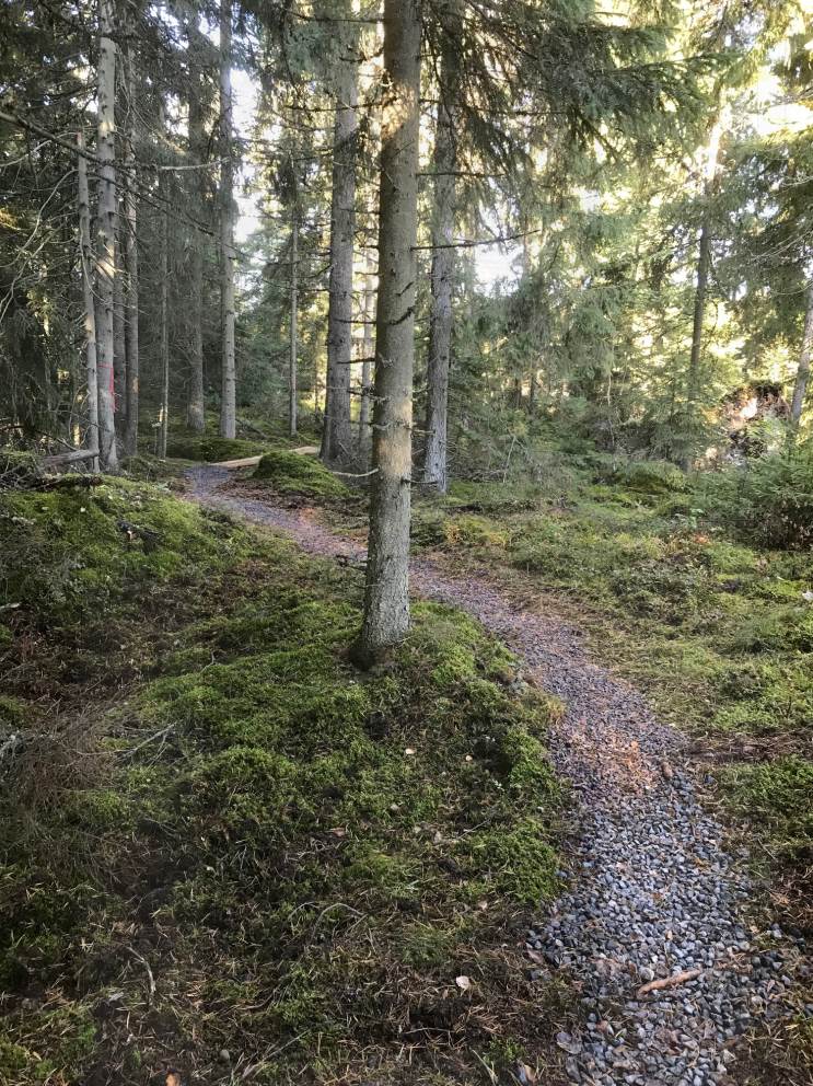 LONA-område på Sturevallen i Sävsjö