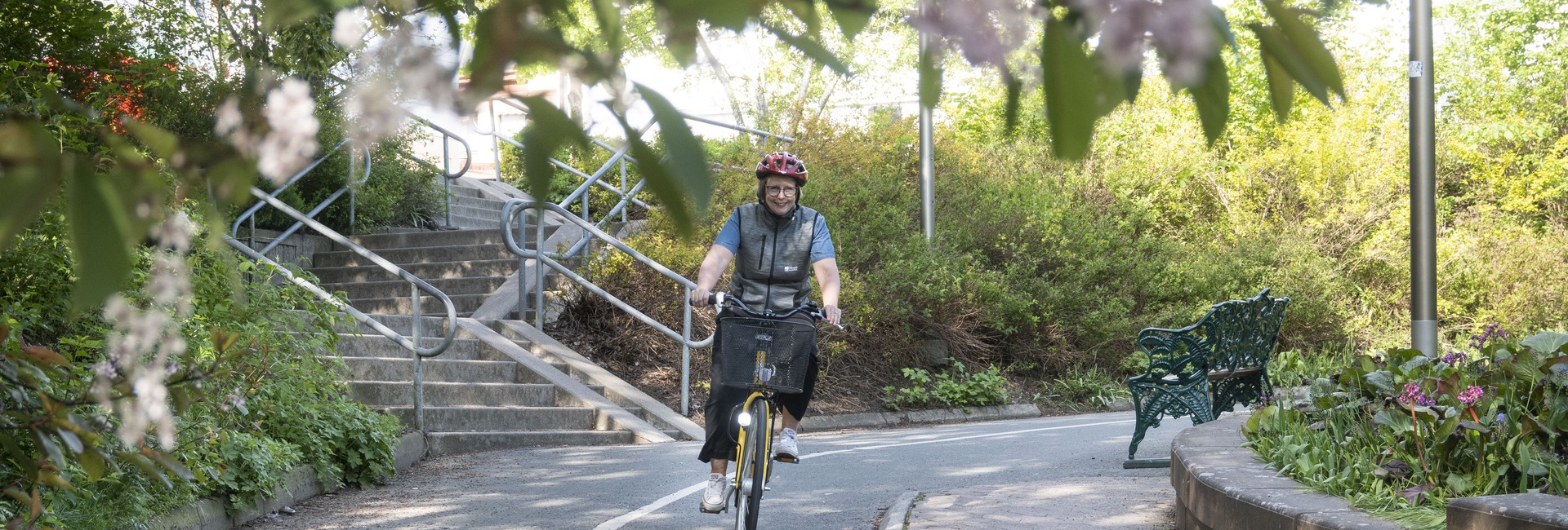 Kvinna cyklar på cykelväg vid grönskande Tunneltorget.