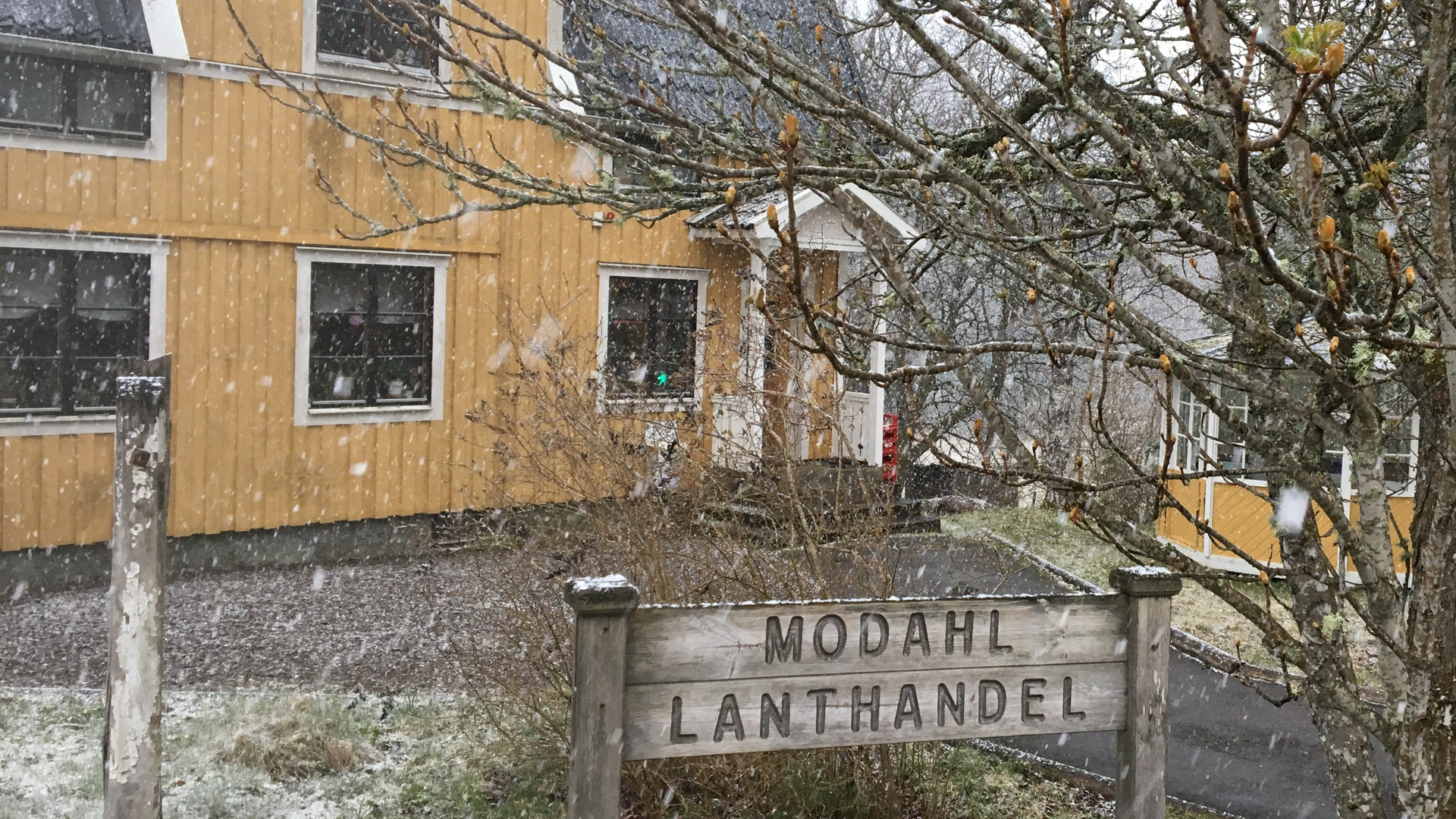 Modahl Lanthandel