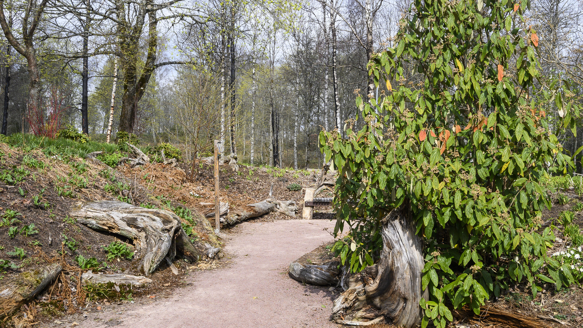 Perennparken, Sävsjö