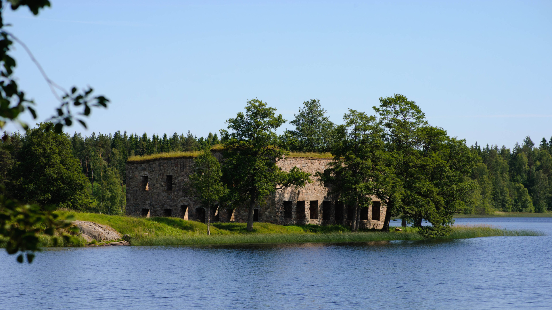 Eksjöhovgårds slottsruin i grönska