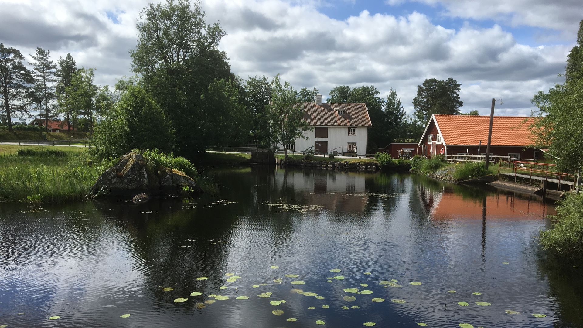 Damm med näckrosor, röd ladugårdsbyggnad och vitt hus.