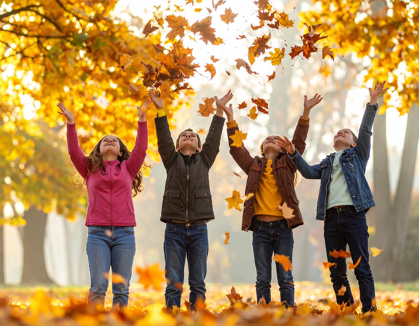 Familj cyklar i skogen