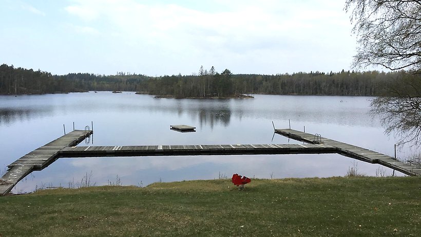 Gräsyta, sjö och bryggor
