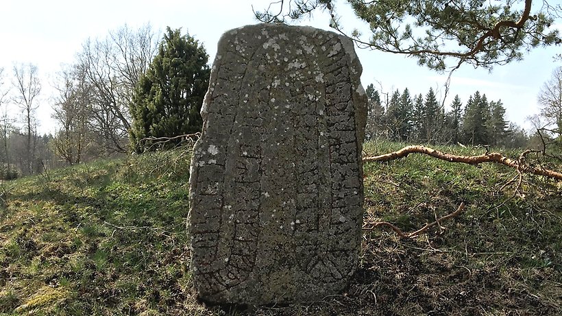 Runsten på gräsyta med tallar i bakgrunden. 