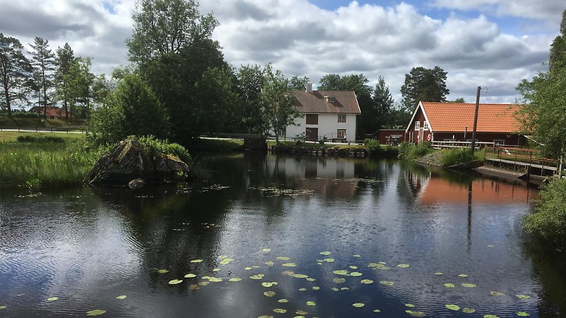 Damm med näckrosor, röd ladugårdsbyggnad och vitt hus.