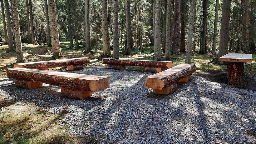Grillplats med stockbänkar och ett bord.