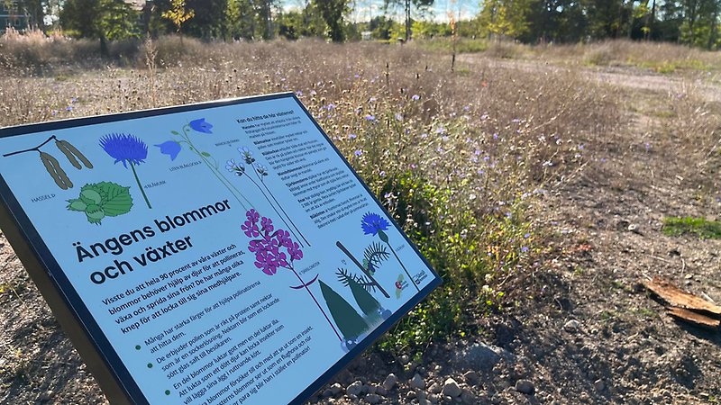 Skylt på äng.