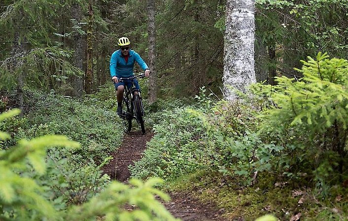 Man cyklar mountainbike i skog.