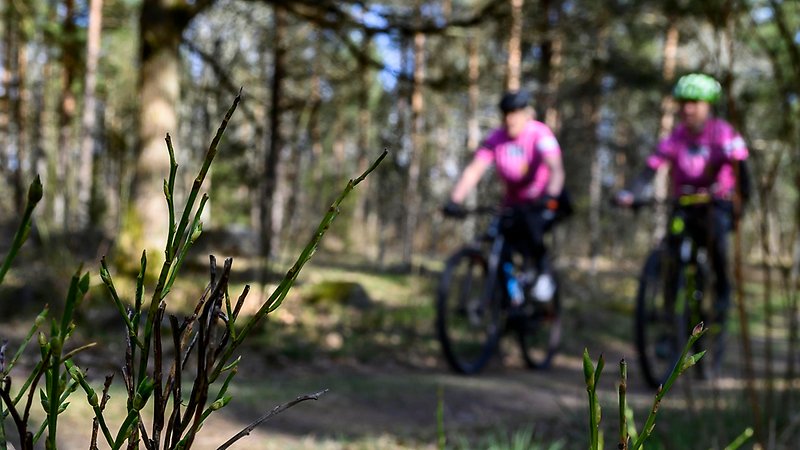 man cyklar i skogen