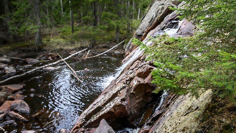 Vattenfall, stenar, gran.