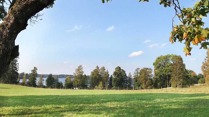 Äng med utsikt över Vallsjön.