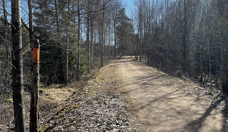 Grusbelagd cykelväg genom blandskog.