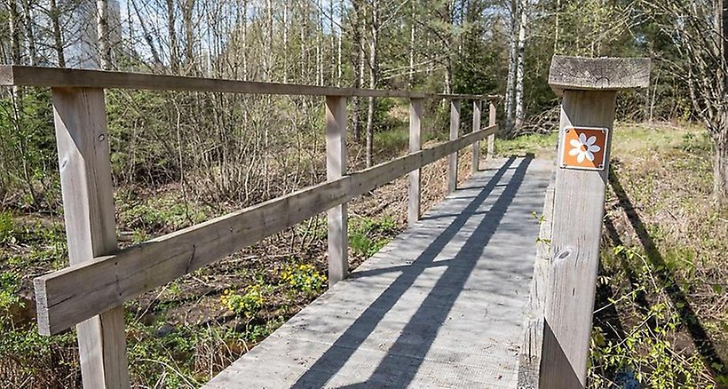 Träbro över dike i Djupadal