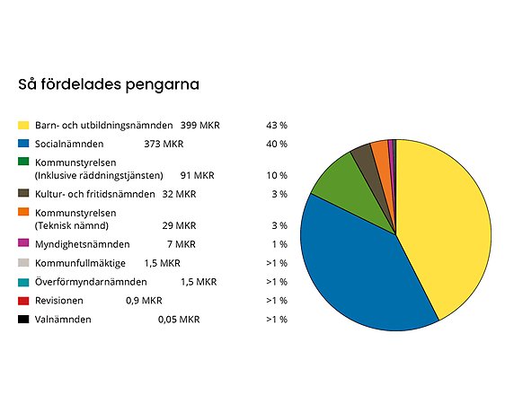 Cirkeldiagram över hur pengarna fördelades mellan nämnderna 2025.
