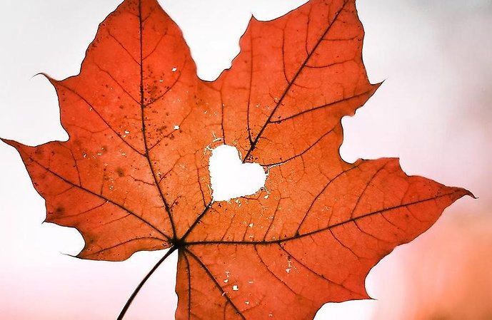 Höstlöv med ett hjärta i